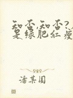 知否,知否?应是绿肥红瘦是什么意思
