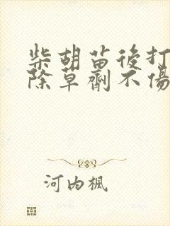 柴胡苗后打什么除草剂不伤苗