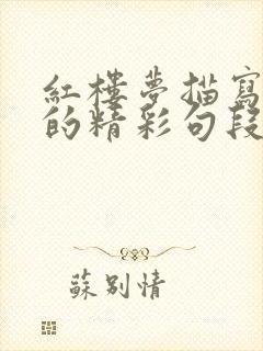 红楼梦描写人物的精彩句段