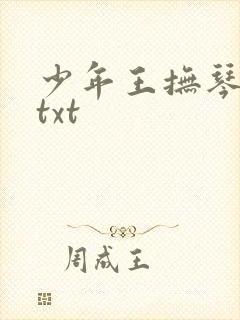 少年王抚琴的人txt