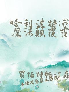 哈利波特:我的魔法颠覆霍格华兹正版