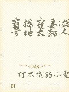 霸总宠妻:总裁爹地太黏人