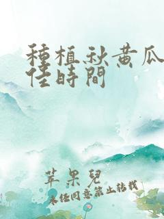 种植秋黄瓜的最佳时间
