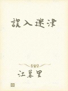 误入迷津