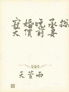 宠婚晚承总裁的天价前妻