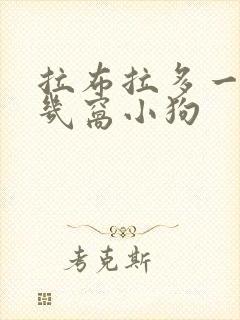 拉布拉多一年生几窝小狗