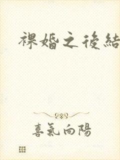裸婚之后结局