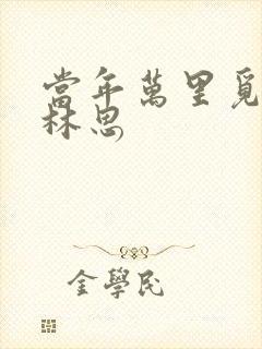 当年万里觅封侯林思