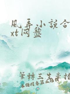 风弄小说合集txt网盘