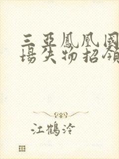 三亚凤凰国际机场失物招领 三亚凤凰国际机场失物招领