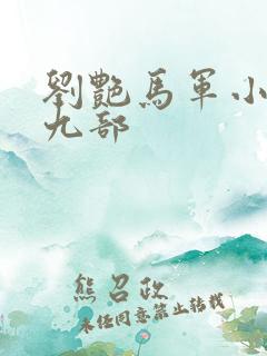 刘艳马军小说第九部