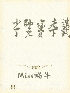 少帅你老婆又跑了免费下载全本