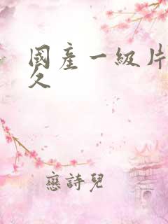 国产一级片久久久