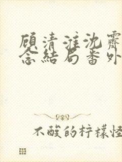 顾清淮沈霁禾乔念结局番外