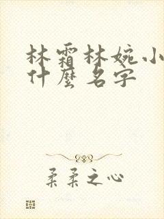 林霜林婉小说叫什么名字