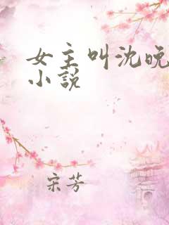 女主叫沈晚晚的小说