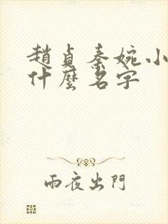 赵贞秦婉小说叫什么名字