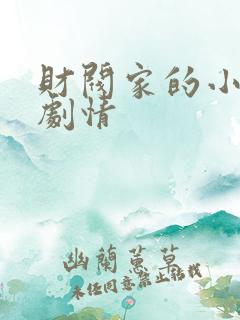财阀家的小儿子剧情