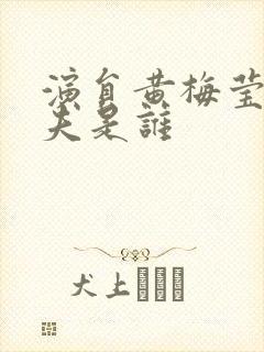 演员黄梅莹的丈夫是谁