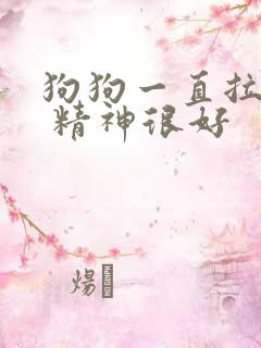 狗狗一直拉软便 精神很好
