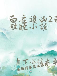白夜追凶2白夜破晓小说
