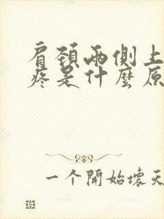 肩颈两侧上的肉疼是什么原因