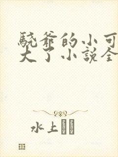 骁爷的小可爱长大了小说全文免费阅读