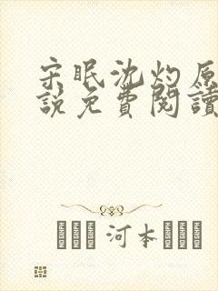 宋眠沈灼原著小说免费阅读