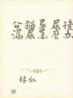 公猫导尿后一直漏尿怎么办