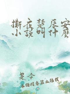 撕夜楚辰安原著小说叫什么