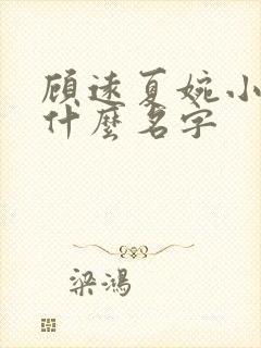 顾远夏婉小说叫什么名字
