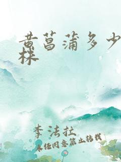 黄菖蒲多少钱一株