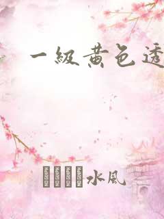 一级黄色透逼片