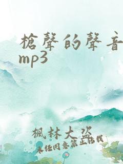 枪声的声音音效mp3
