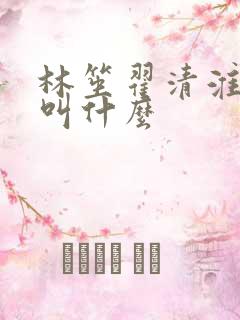 林笙翟清淮小说叫什么