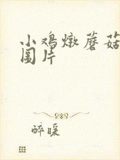 小鸡炖蘑菇高清图片