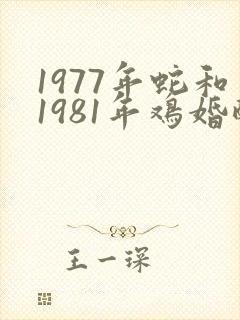 1977年蛇和1981年鸡婚配不