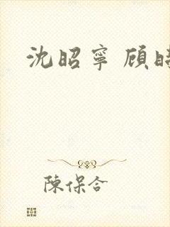 沈昭宁 顾时夜