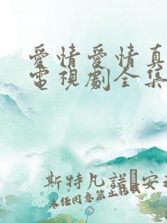 爱情爱情真善美电视剧全集