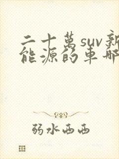 二十万suv新能源的车哪款好