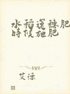 水稻运穗肥什么时候施肥