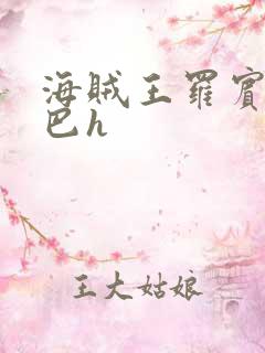 海贼王罗宾被乔巴h