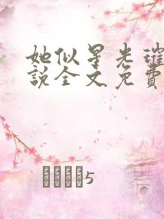 她似星光璀璨小说全文免费阅读