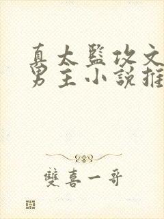 真太监攻文,双男主小说推荐
