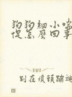 狗狗细小喘气急促怎么回事 狗狗细小喘气急促怎么回事