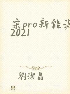 宋pro新能源2021 宋pro新能源2021