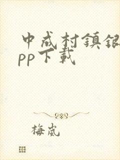 中成村镇银行app下载