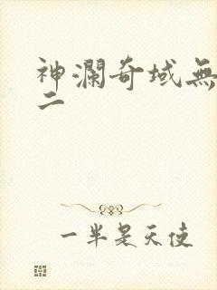 神澜奇域无双珠二