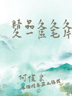 精品久久久久久久一区毛片