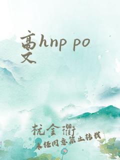 高hnp po文